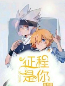 甸伊园入口无跳转