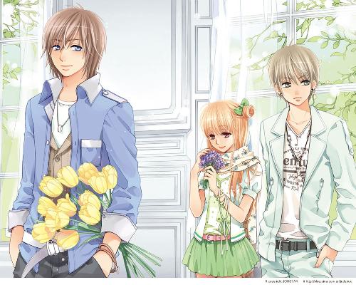 2022日本高清砖码区